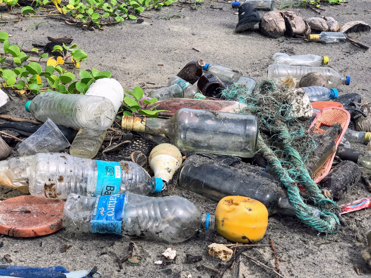 Plastic Scrap Recycling & Trading Guide: PET, HDPE, LDPE, PP & Market Demand